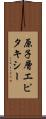 原子層エピタキシー Scroll