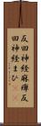 反回神経麻痺 Scroll