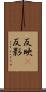 反映(P) Scroll