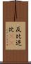 反比 Scroll