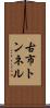 古市トンネル Scroll