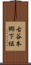 古谷本郷下組 Scroll