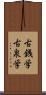 古銭学 Scroll