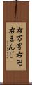 右万字 Scroll