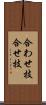 合わせ技 Scroll