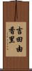 吉田由香里 Scroll