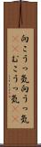 向こうっ気 Scroll
