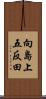 向島上五反田 Scroll