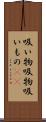 吸い物 Scroll