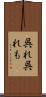 呉れ呉れも Scroll