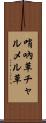 哨吶草 Scroll