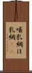 哺乳綱 Scroll