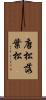 唐松 Scroll