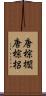 唐棕櫚 Scroll