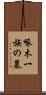 啄木一族の墓 Scroll