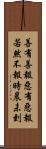 善有善報，惡有惡報，若然不報時晨未到 Scroll