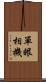 單眼相機 Scroll