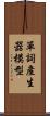 單詞產生器模型 Scroll