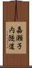 嘉瀬子内隧道 Scroll