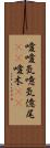 噯;噯気;噫気;億尾(iK);噯木(iK) Scroll