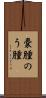 嚢腫 Scroll