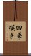 四季咲き Scroll