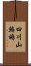 四川山鷓鴣 Scroll