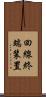 回線終端装置 Scroll