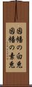 因幡の白兎 Scroll