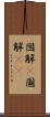 図解(P) Scroll