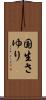 国生さゆり Scroll