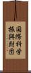 国際科学振興財団 Scroll