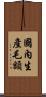 國內生產毛額 Scroll