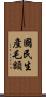 國民生產毛額 Scroll
