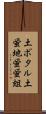 土ボタル Scroll