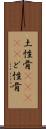 土性骨(ateji) Scroll