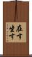 在す Scroll
