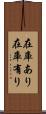 在庫あり Scroll