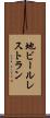 地ビールレストラン Scroll
