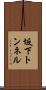 坂下トンネル Scroll
