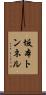 坂本トンネル Scroll