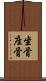 坐骨 Scroll