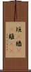 垣(P) Scroll