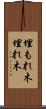 埋もれ木 Scroll