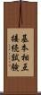 基本相互接続試験 Scroll