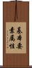 基本要素属性 Scroll