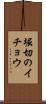 堀切のイチョウ Scroll