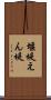 堰堤 Scroll
