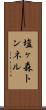 塩ヶ森トンネル Scroll