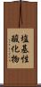 塩基性酸化物 Scroll